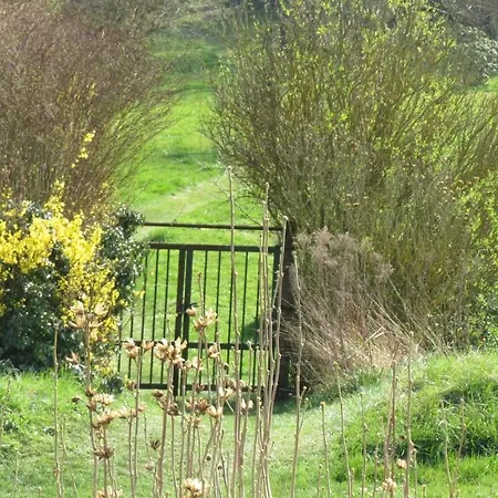 Le Tilleul Sainte-Genevieve-les-Gasny